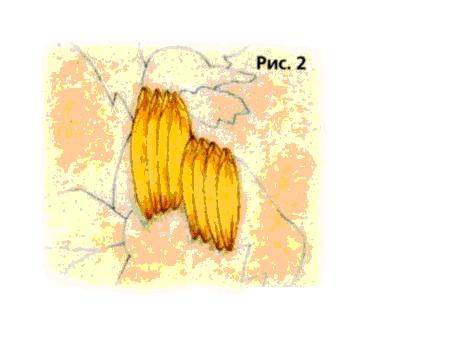 Картина из атласных лент своими руками с фото и видео