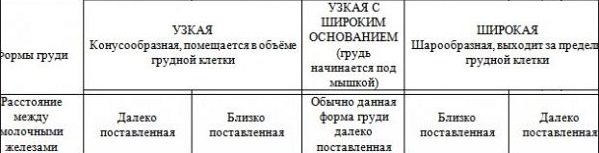 Красивая, большая, маленькая женская грудь. Типы, формы и размеры. Фото