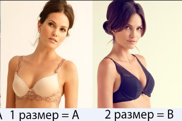 Красивая, большая, маленькая женская грудь. Типы, формы и размеры. Фото