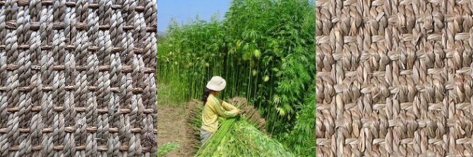 ковры из конопли