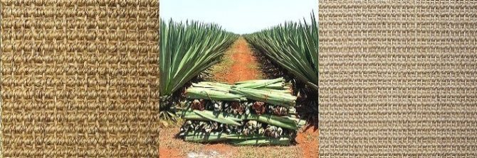 ковры из сизаля