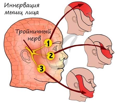 Тройничный нерв